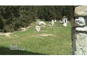HORSKY CINTOROIN ROHACE ORAVA (3)