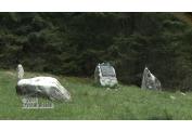 HORSKY CINTOROIN ROHACE ORAVA (6)